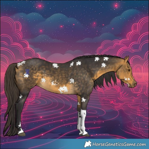 Horse Color:Buckskin Mushroom Tobiano 
