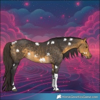 Horse Color:Buckskin Mushroom Tobiano