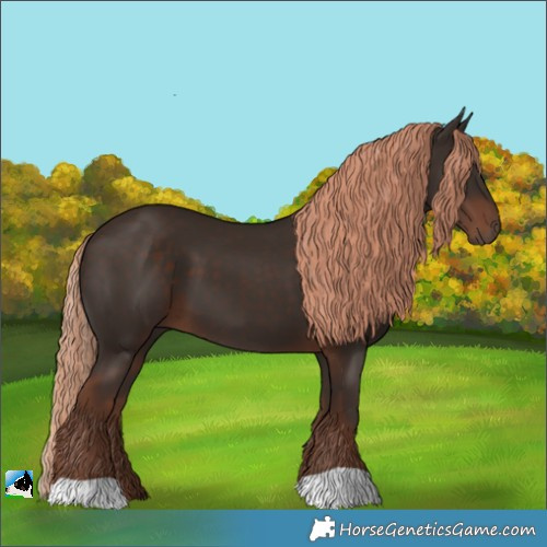 Horse Color:Liver Chestnut