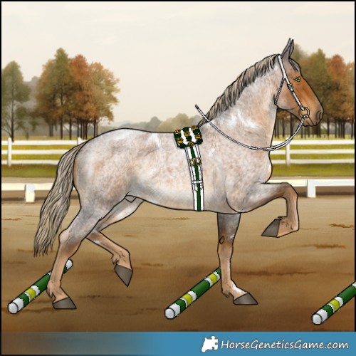 Horse Color:White Spotted Chocolate Palomino Roan