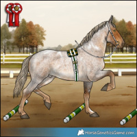 Horse Color:White Spotted Chocolate Palomino Roan