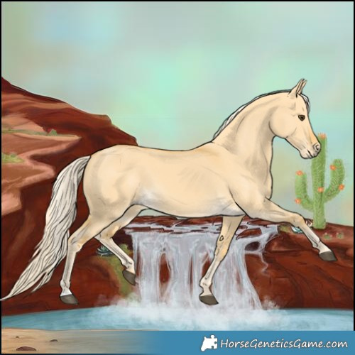 Horse Color:Palomino Dun 