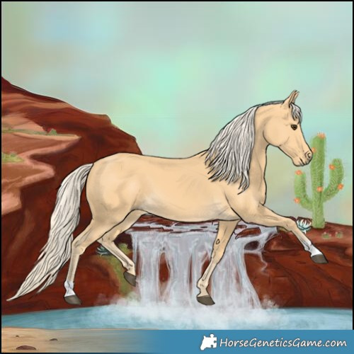 Horse Color:Palomino 