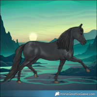 Horse Color:Black 