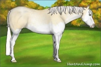 Horse Color:Silver Classic Champagne Pearl Dun Sabino Splash 