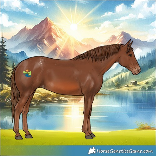Horse Color:Chestnut Varnish 