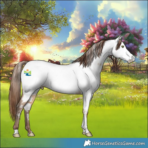 Horse Color:Amber Champagne Dun Fewspot