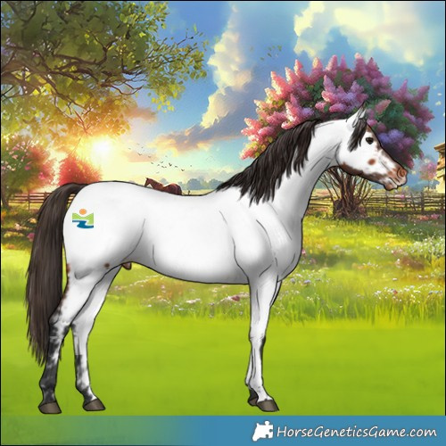 Horse Color:Bay Near Fewspot 