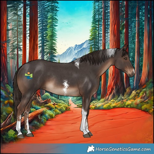 Horse Color:Liver Chestnut Sabino Tobiano Rabicano 