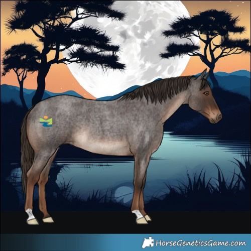 Horse Color:Liver Red Roan Rabicano