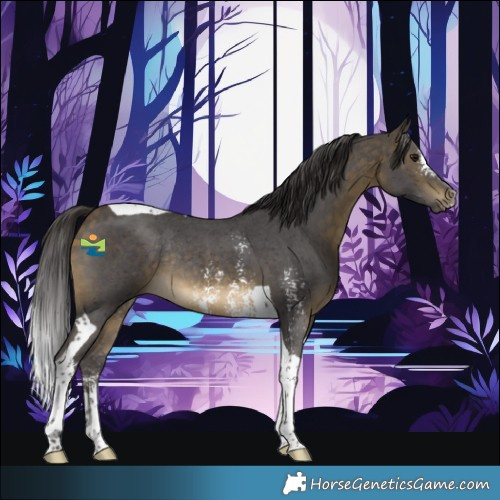 Horse Color:Buckskin Sabino Tobiano Rabicano 