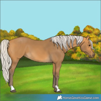 Horse Color:Silver Buckskin