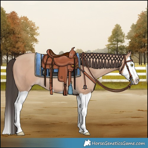 Horse Color:Amber Champagne Splash 