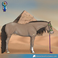 Horse Color:Classic Champagne 