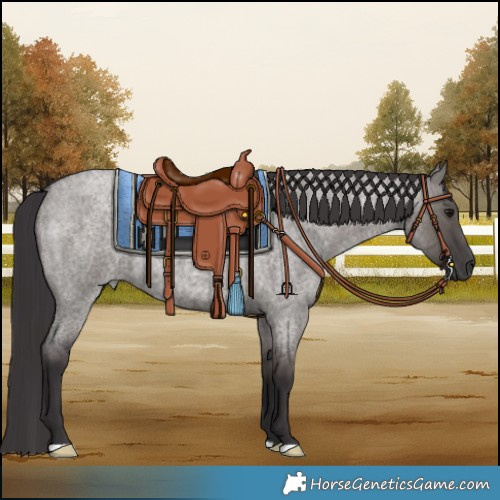 Horse Color:Smoky Grullo Roan 