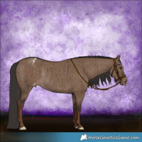 Horse Color:Liver Red Dun Varnish Rabicano Brindle