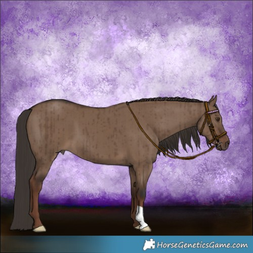 Horse Color:Liver Red Dun Brindle 