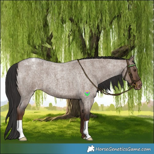 Horse Color:Liver Red Dun Roan Varnish Brindle 