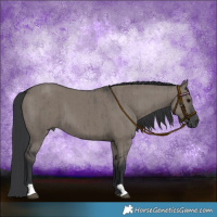 Horse Color:Grullo Brindle 