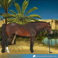 Horse Color:Brown Varnish 
