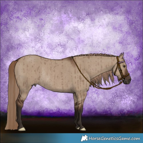 Horse Color:Liver Red Dun Rabicano Brindle 