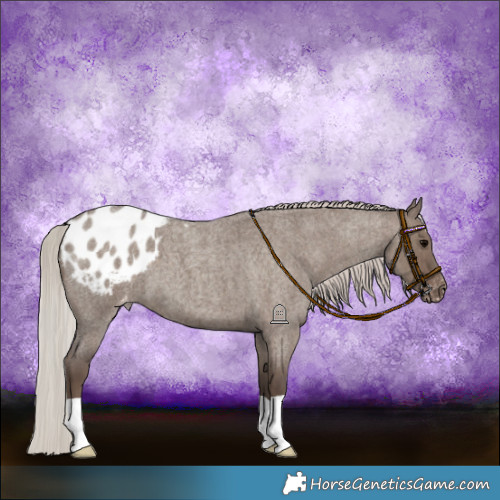 Horse Color:Silver Grullo Roan Varnish Brindle 