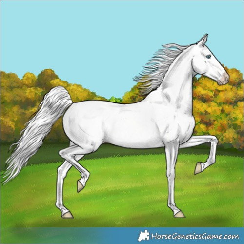 Horse Color:Cremello Dun 