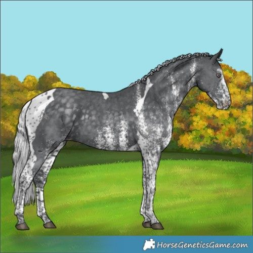 Horse Color:White Spotted Silver Black Chinchilla Tobiano 