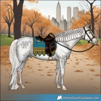 Horse Color:Gold Champagne Pearl Dun Tobiano Skewed LP Spotted Rabicano Brindle and Pseudo Buckskin Harlequin Merle