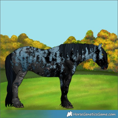 Horse Color:ERROR: UNKNOWN ANOMALY