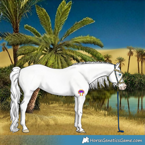 Horse Color:Cremello Dun 