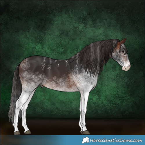 Horse Color:Powder White White Spotted Brown 