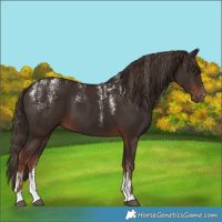 Horse Color:Powder White Liver Chestnut 