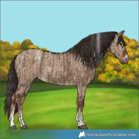 Horse Color:Liver Red Dun Tobiano  and Powder White Liver Red Dun 