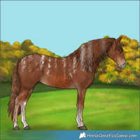 Horse Color:Powder White Chestnut  and Powder White Chestnut 