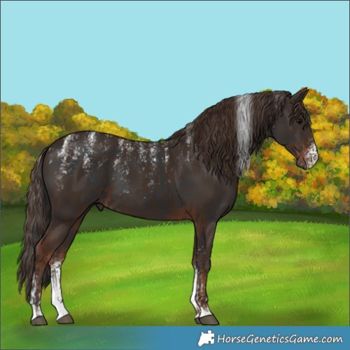 Horse Color:Powder White Black  and Powder White Liver Chestnut 