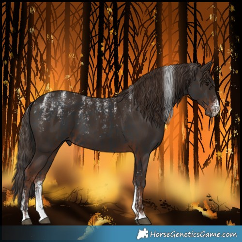 Horse Color:Powder White Black  and Powder White Liver Chestnut 