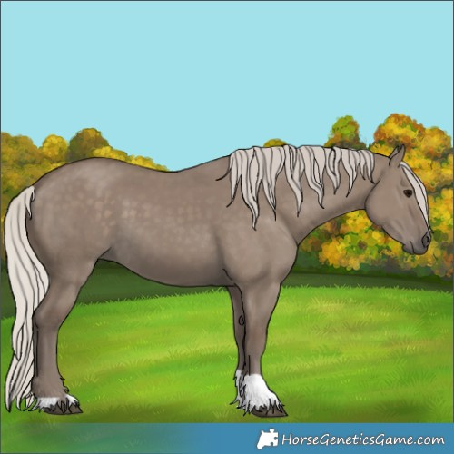 Horse Color:Silver Grullo