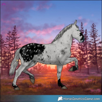 Horse Color:ERROR: UNKNOWN ANOMALY