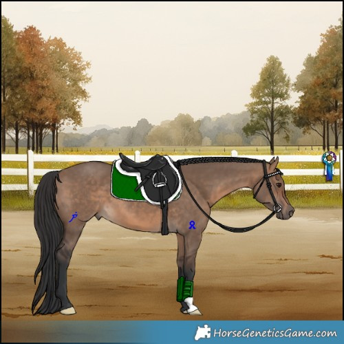 Horse Color:Brown Dun