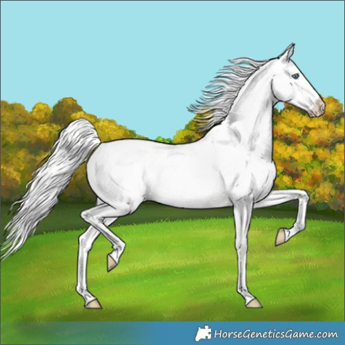 Horse Color:Cremello Dun 