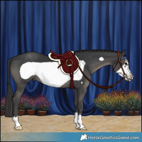 Horse Color:Black Frame 