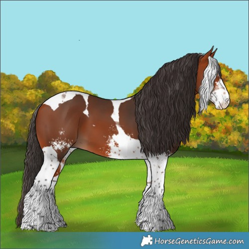Horse Color:Bay Sabino Tobiano