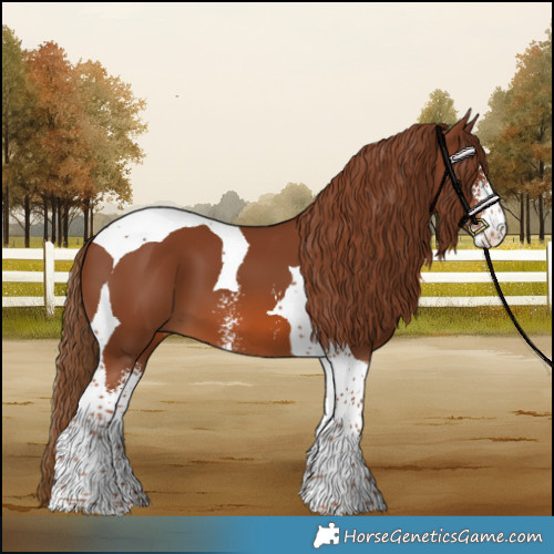 Horse Color:Chestnut Sabino Tobiano 