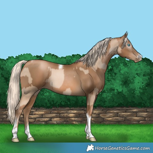 Horse Color:Chocolate Palomino Pearl Tobiano Frame  and Gray Chocolate Palomino Pearl Tobiano Frame 
