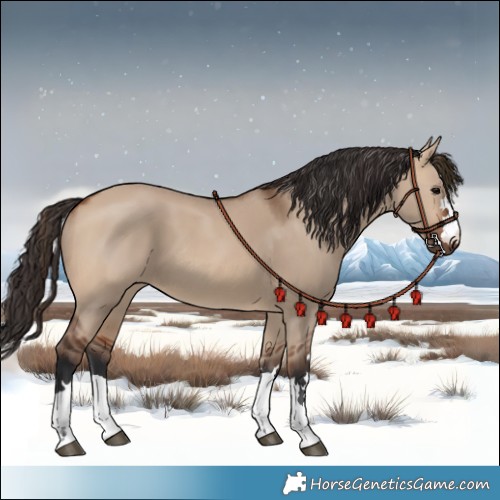 Horse Color:Bay Dun 