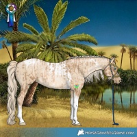 Horse Color:Chocolate Palomino Pearl Tobiano Frame and Chocolate Palomino Pearl Dun Tobiano Frame