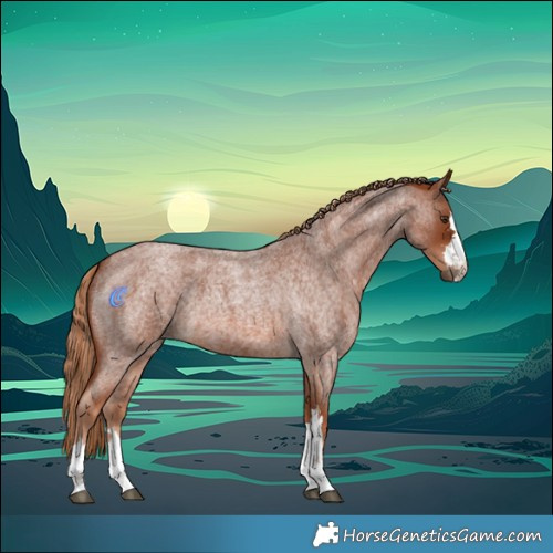 Horse Color:Red Roan 