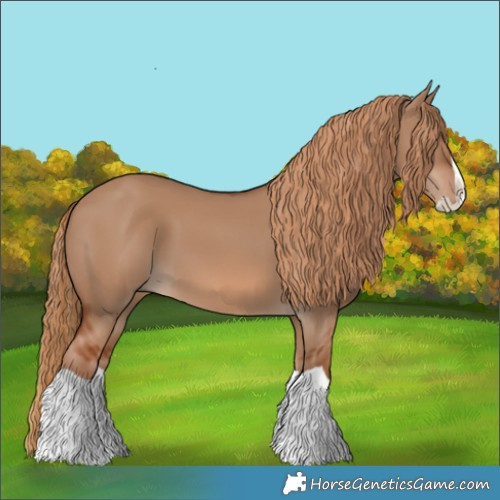 Horse Color:Red Dun Splash