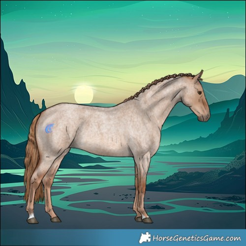 Horse Color:Red Dun Roan